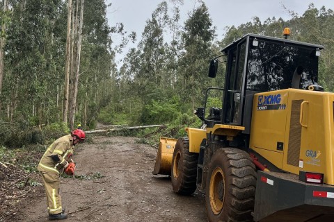 Mau tempo causa estragos e mobiliza equipes em Casca, Serafina Corrêa e Marau