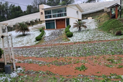 Temporal com granizo causa estragos em Sarandi na tarde desta segunda-feira